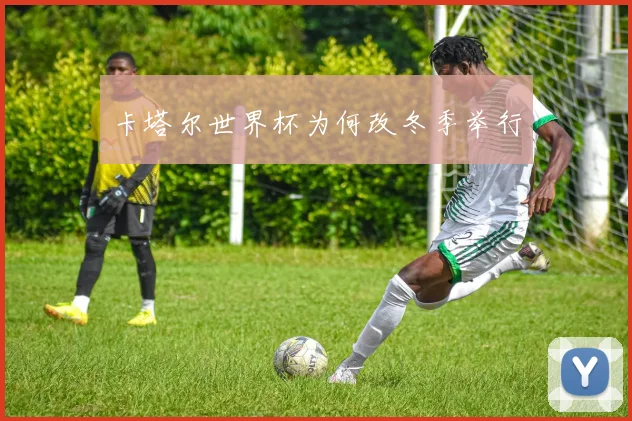 卡塔尔世界杯为何改冬季举行